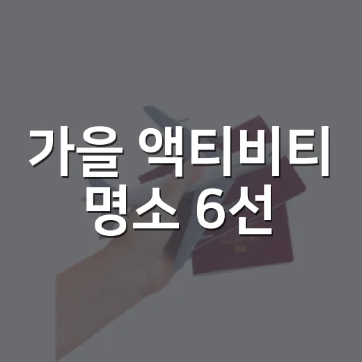 가을 액티비티 명소 6선