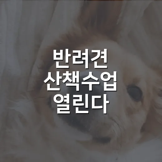 반려견 산책수업 열린다