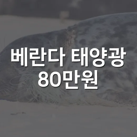 베란다 태양광 80만원