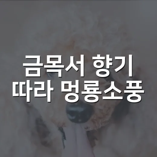 금목서 향기 따라 멍룡소풍