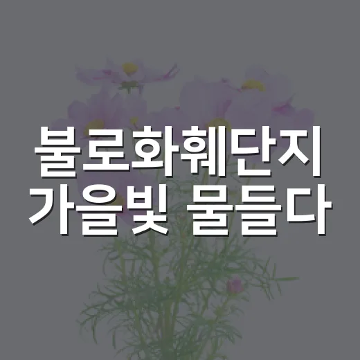 불로화훼단지 가을빛 물들다