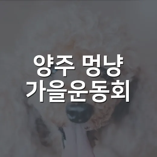 양주 멍냥 가을운동회