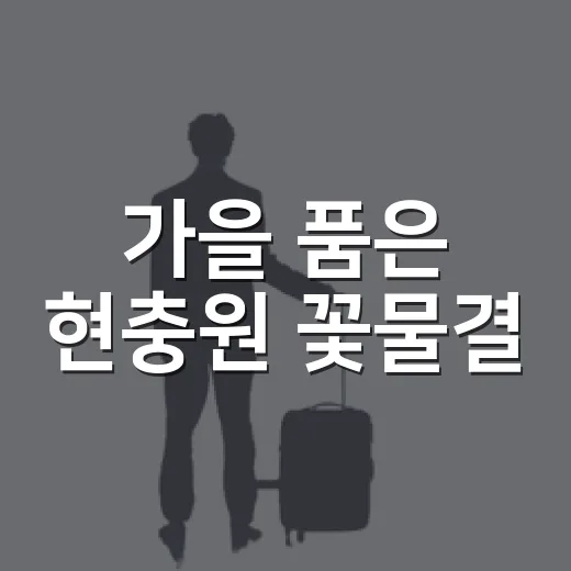 가을 품은 현충원 꽃물결