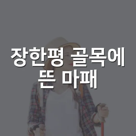 장한평 골목에 뜬 마패