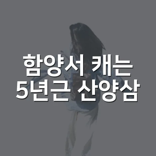 함양서 캐는 5년근 산양삼