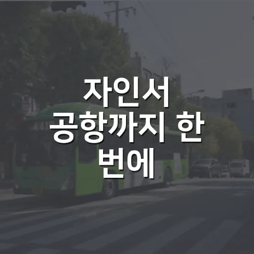 자인서 공항까지 한 번에
