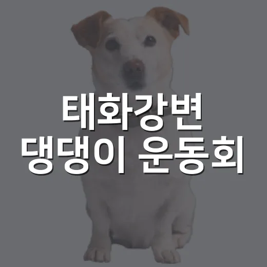 태화강변 댕댕이 운동회