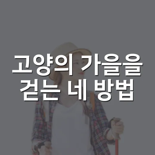 고양의 가을을 걷는 네 방법