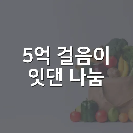5억 걸음이 잇댄 나눔