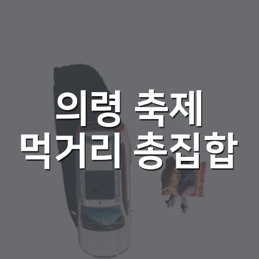 의령 축제 먹거리 총집합