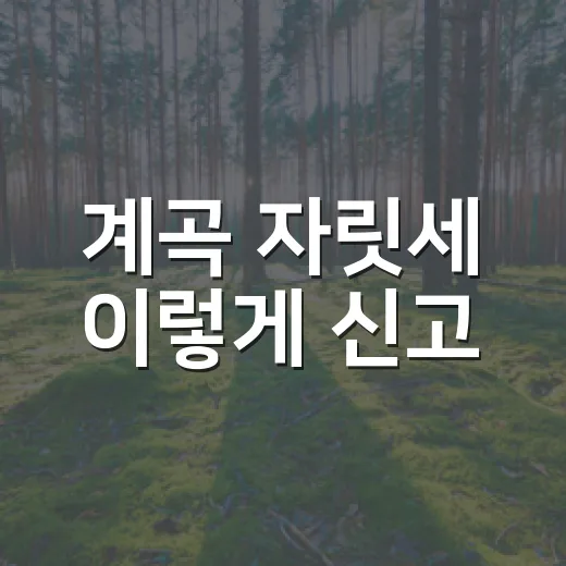 계곡 자릿세 이렇게 신고