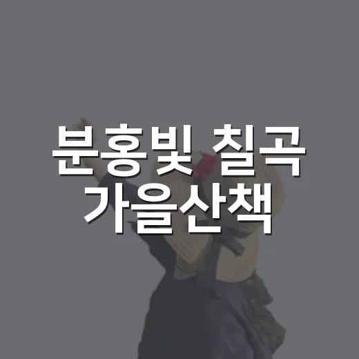 분홍빛 칠곡 가을산책