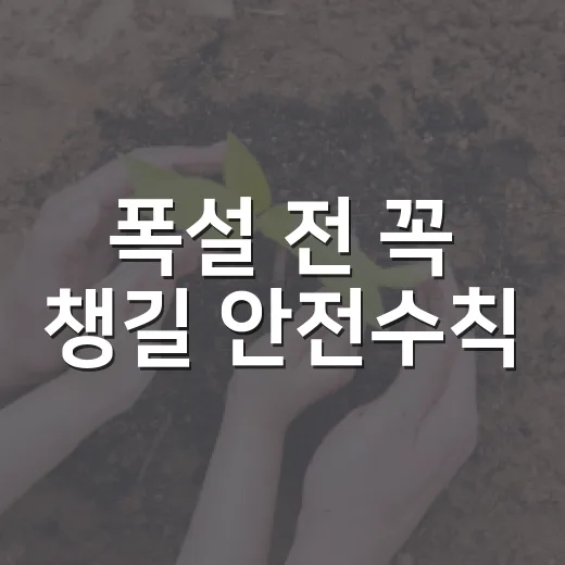 폭설 전 꼭 챙길 안전수칙