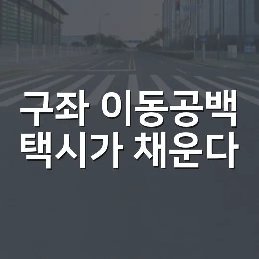 구좌 이동공백 택시가 채운다