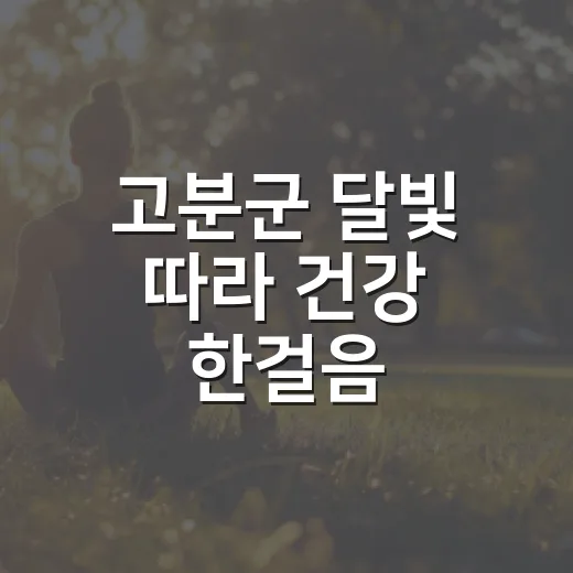 고분군 달빛 따라 건강 한걸음