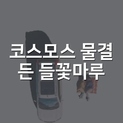 코스모스 물결 든 들꽃마루