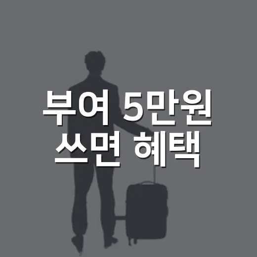 부여 5만원 쓰면 혜택