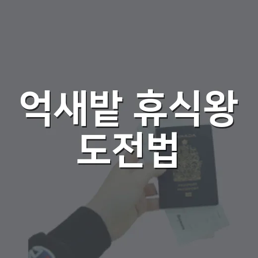 억새밭 휴식왕 도전법