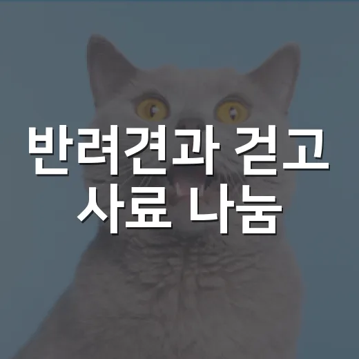 반려견과 걷고 사료 나눔