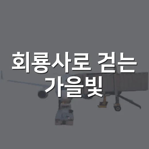 회룡사로 걷는 가을빛
