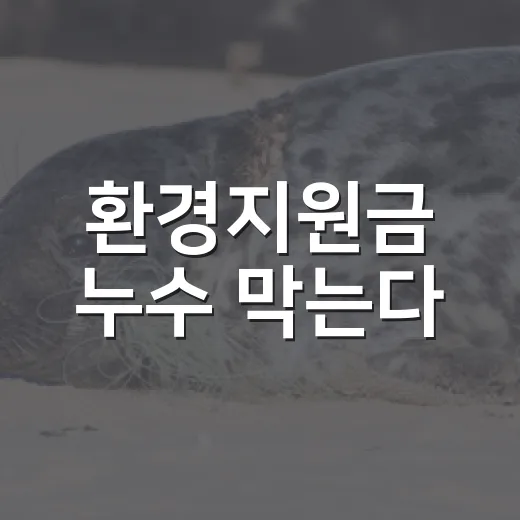 환경지원금 누수 막는다