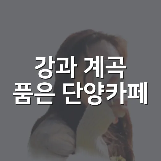강과 계곡 품은 단양카페