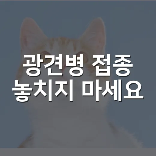 광견병 접종 놓치지 마세요