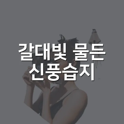 갈대빛 물든 신풍습지