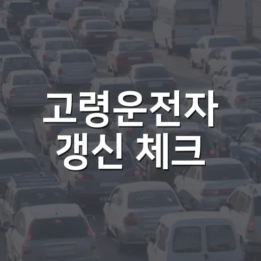 고령운전자 갱신 체크