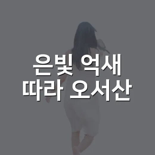 은빛 억새 따라 오서산