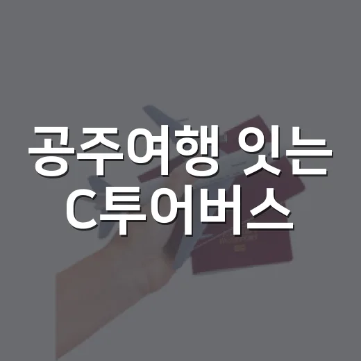 공주여행 잇는 C투어버스