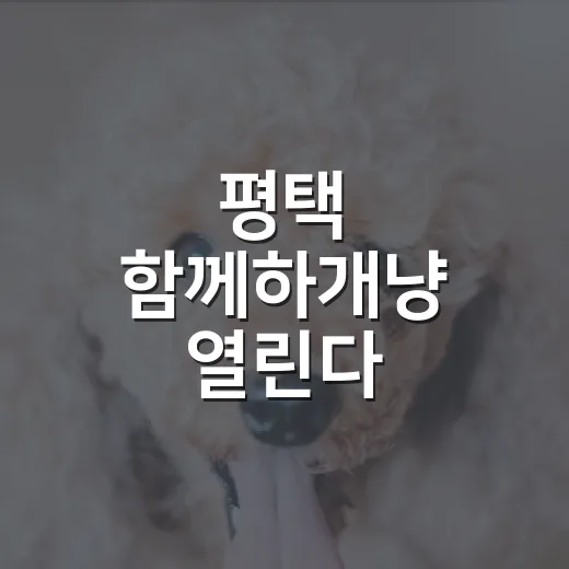 평택 함께하개냥 열린다