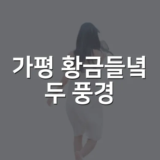 가평 황금들녘 두 풍경