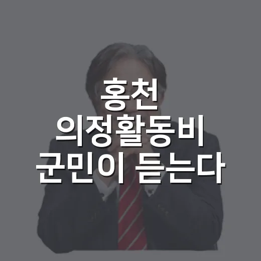 홍천 의정활동비 군민이 듣는다