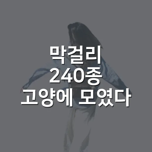 막걸리 240종 고양에 모였다