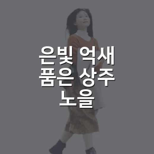 은빛 억새 품은 상주 노을