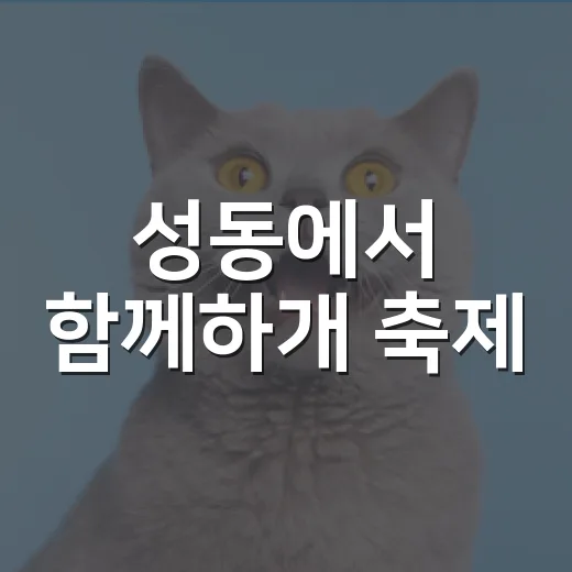 성동에서 함께하개 축제