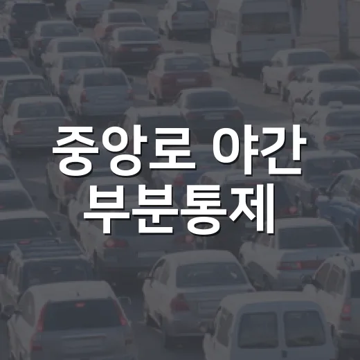 중앙로 야간 부분통제
