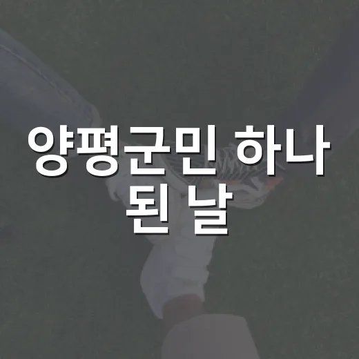 양평군민 하나 된 날