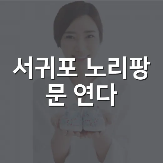 서귀포 노리팡 문 연다