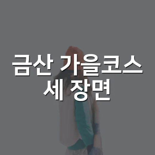 금산 가을코스 세 장면