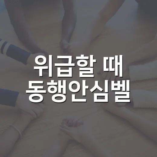 위급할 때 동행안심벨