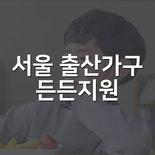 서울 출산가구 든든지원