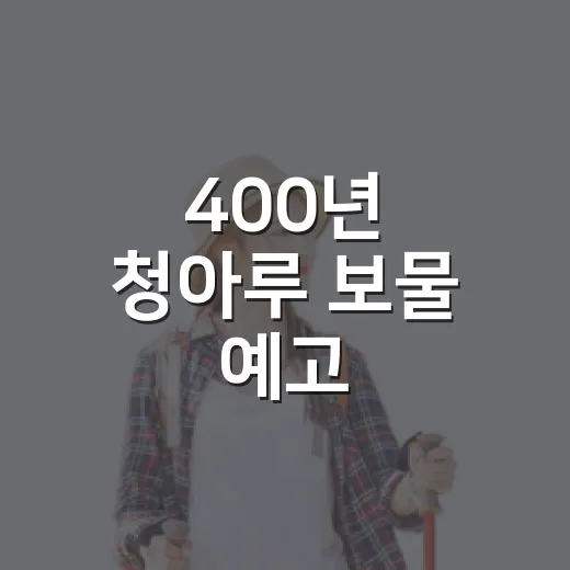 400년 청아루 보물 예고