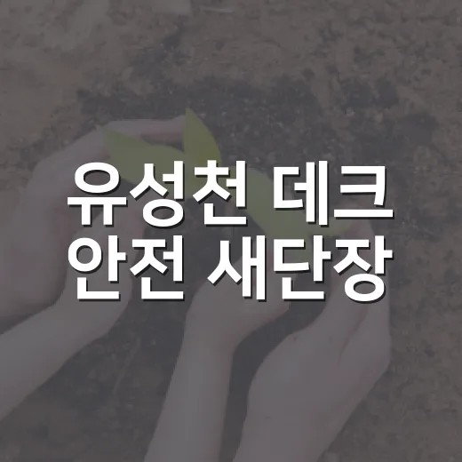 유성천 데크 안전 새단장
