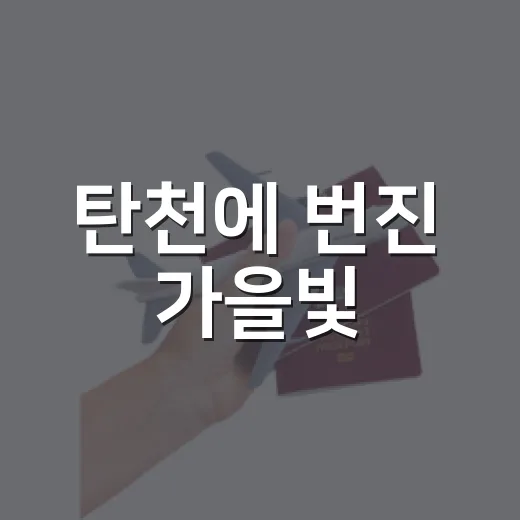 탄천에 번진 가을빛