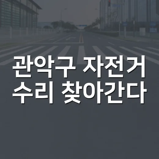 관악구 자전거 수리 찾아간다