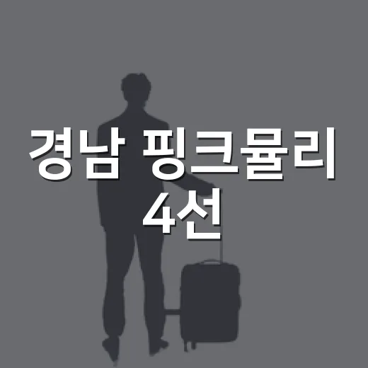 경남 핑크뮬리 4선