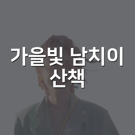 가을빛 남치이 산책