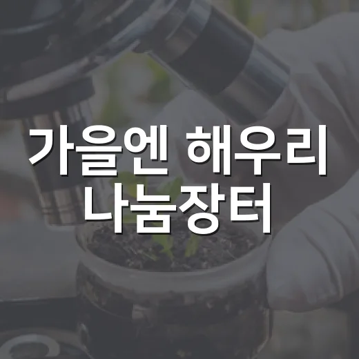 가을엔 해우리 나눔장터